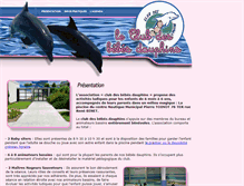 Tablet Screenshot of bbdauphins.sportschallengesentreprises.fr